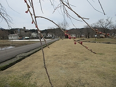 「せせらぎ公園」の画像2