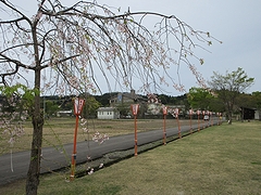 「せせらぎ公園」の画像2