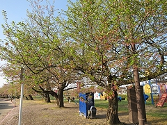 「河川緑地たちばな公園」の画像1