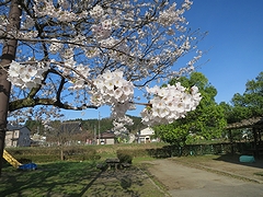 「河川緑地たちばな公園」の画像2