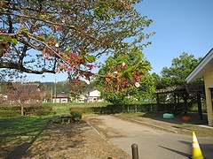 「河川緑地たちばな公園」の画像2