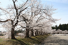 「巴ヶ丘」の画像1