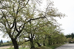 「巴ヶ丘」の画像1