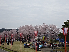 「おぐにせせらぎ公園」の画像4