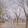 「悠久山公園」の画像