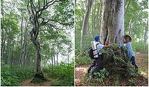 「守門岳」の画像3