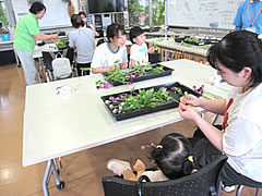 「花テラス千日紅ブーケ作り」の画像