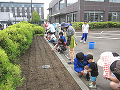 「種まき体験」の画像