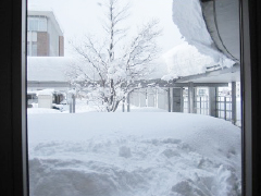 「真冬のぐんぐん！冬本番！」の画像1