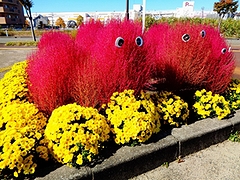 「こうえんのしき・あき」の画像5