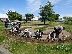「てくてく散歩・花苗植え」の画像