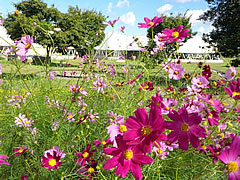 「こうえんのしき・あき」の画像1