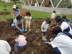 「こうえんのしき・あき」の画像2