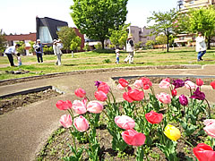 「てくてく散歩」の画像