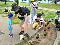 「てくてく散歩・花苗植え」の画像