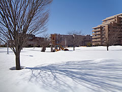 「こうえんのしき・冬」の画像5