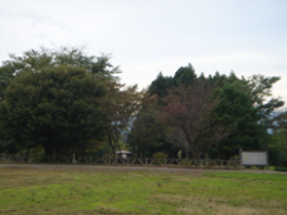 「馬高・三十稲場遺跡保存会の活動」の画像3