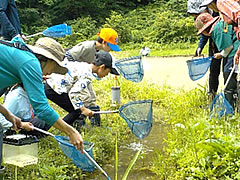 「昨年の様子」の画像1