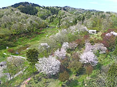 「雪国植物園」の画像