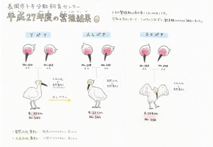 「平成27年度の繁殖結果」の画像