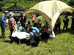 「田んぼのいきもの観察会」の画像2