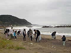 「ビーチコーミング」の画像1