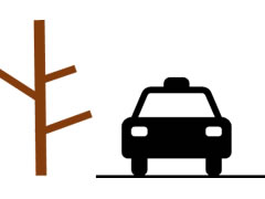 「樹木の枝等が交通の支障となっていない」の画像1