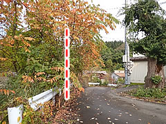 「枝が車輛に当たる場合（地面から歩道は2.5m以下、車道は4.5m以下にある場合）」の画像2