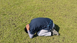 「防御姿勢(イノシシ)」の画像