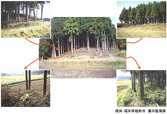 「管理のポイント」の画像