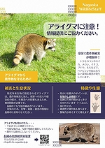 「チラシ」の画像