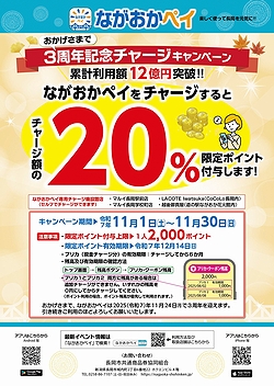 「チラシ」の画像