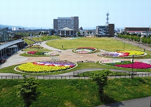 「長岡市民防災公園」の画像