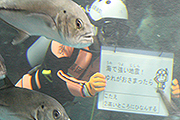 記事「寺水が中学生以下の入場無料キャンペーン イベントも満載」の画像