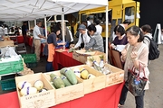 記事「食欲の秋。長岡産食材がおススメです。」の画像