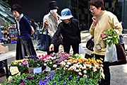 記事「アオーレに季節の花と山の恵みが集合!」の画像