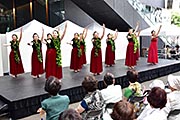記事「長岡でハワイ気分を満喫!アロハフェスティバル」の画像