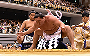 記事「大相撲がアオーレ長岡にやってきた！」の画像
