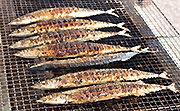 記事「さんまとバスケで食欲&スポーツの秋★」の画像
