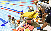 記事「キャンプ地として評価。豪競泳チームが3回目の長岡入り」の画像