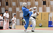 記事「長岡開府400年記念！武道祭」の画像