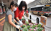 記事「花で元気と癒やしを！20年目の市民プランターづくり」の画像