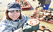 記事「「先を見通す」縁起物 大口れんこんの収穫最盛期」の画像