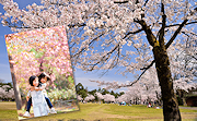記事「\\市政だより4月号ができました//」の画像