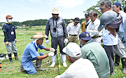 記事「地域で取り組む獣害対策」の画像