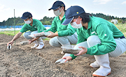 記事「バイオ肥料の効果は？実証試験スタート！」の画像