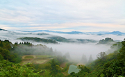 記事「棚田と雲海が織りなす風景求め、早朝の山古志へ」の画像
