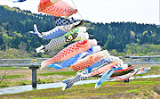 記事「春風受けて青空をスイスイ！」の画像