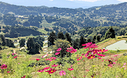 記事「美しい棚田・棚池が広がる、日本農業遺産認定の地・山古志」の画像