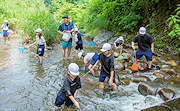 記事「川が教室！放流や生き物観察」の画像